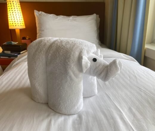 Elephant Towel Animal Excellent Customer Service on cruise ship with towel animal in the shape of an elephant