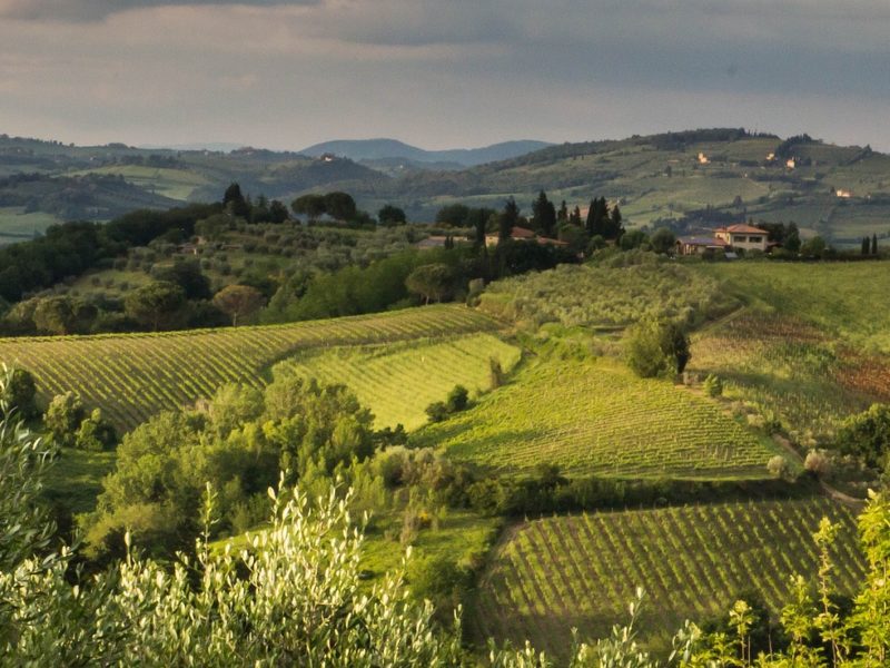 Tuscany Landscape Panorama